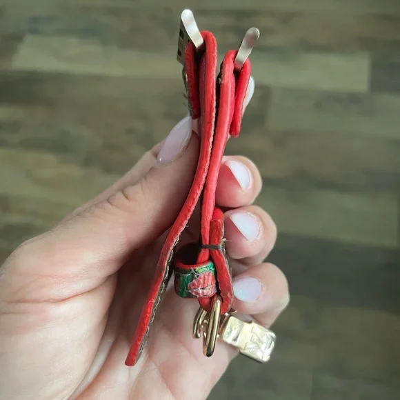 Upcycled LV 🍒 with Zipper Pull - Picture 4 of 5